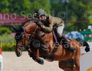 CRISTOFOLETTI AMICO MIO CampITA2013- S5 9352 : AMICO MIO, CRISTOFOLETTI ROBERTO, Campionati Italiani 2013, Cattolica, Horse Riviera Resort, foto di Stefano Secchi ©